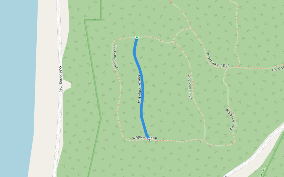 Mossly Ledge Trail walking route map in Milton