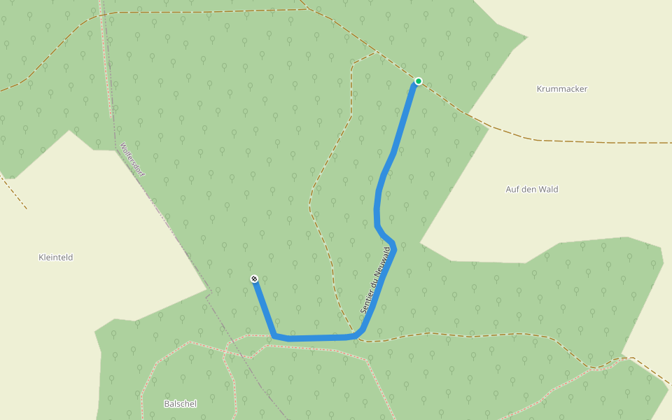 Sentier du Neuwald walking route map in Wolfersdorf