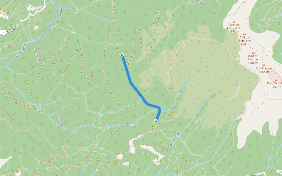 Camí de la Gronxadora walking route map in Montseny
