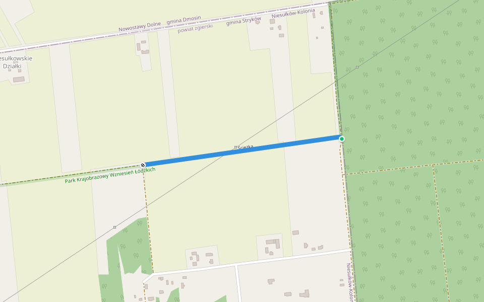 Ścieżka walking route map in Niesułków-Kolonia
