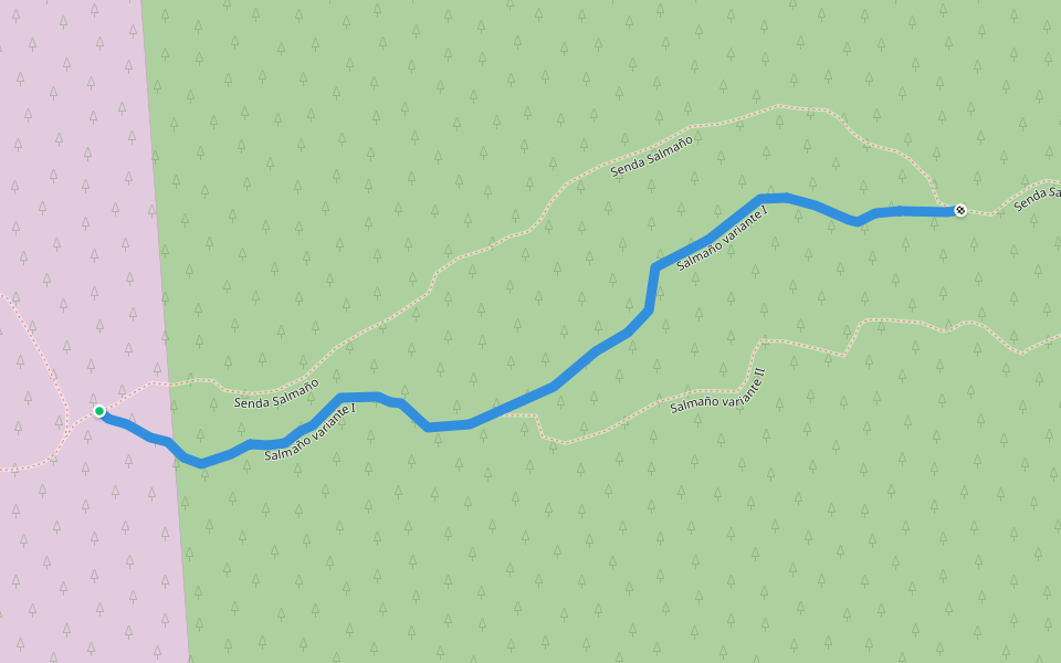 Salmaño variante I walking route map in Borja