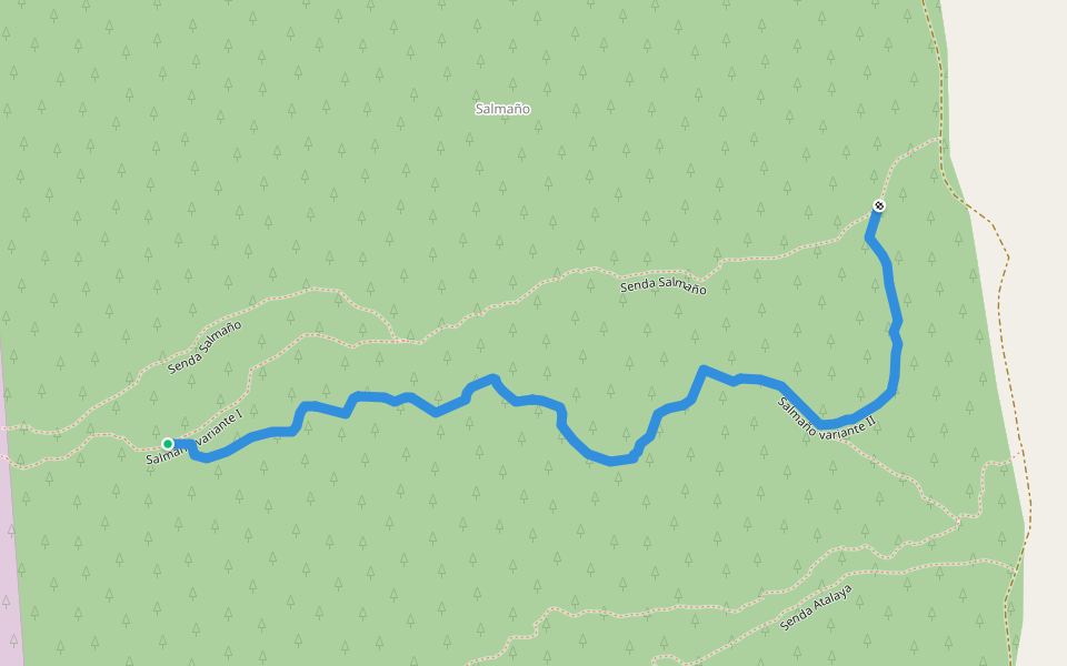 Salmaño variante II walking route map in Borja
