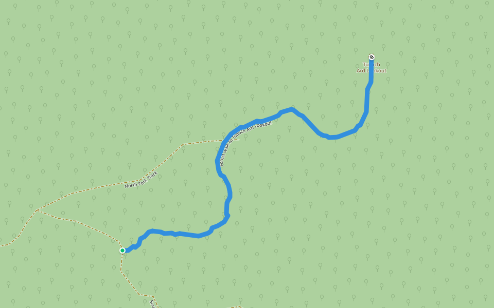 Forest walk to Tulloch Ard Lookout walking route map in W Tree