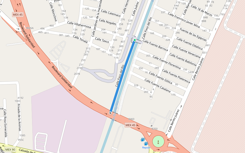 Calle Paso del Río walking route map in Irapuato