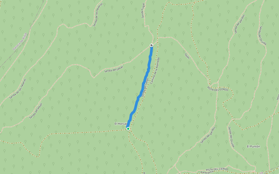 Senda del Galgo walking route map in Sojuela