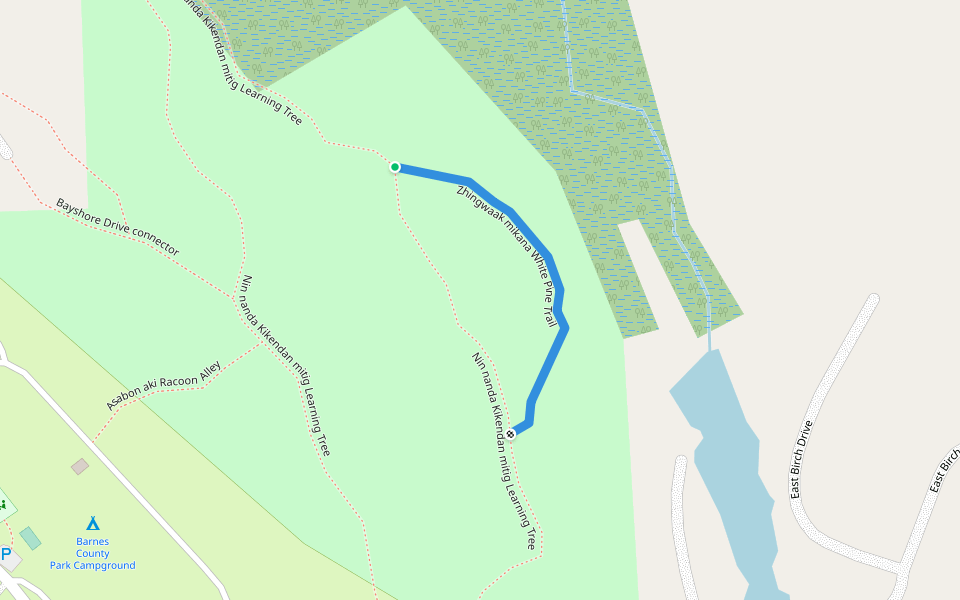 Zhingwaak mikana White Pine Trail walking route map in Central Lake