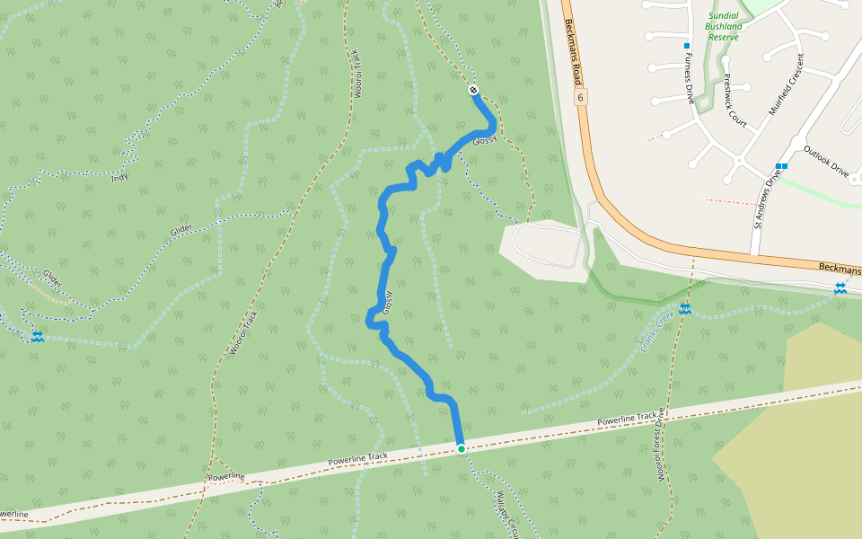 Glossy walking route map in Tewantin