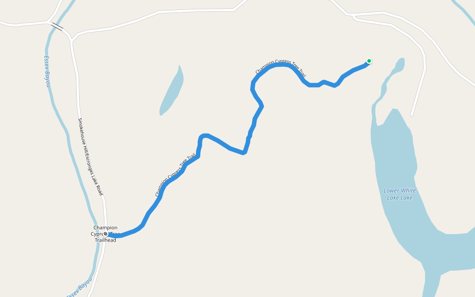 Champion Cypress Tree Trail walking route map in Ethel