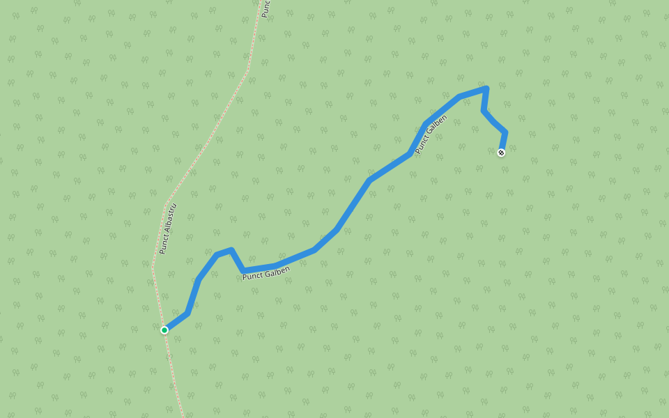 Punct Galben walking route map in Crinț