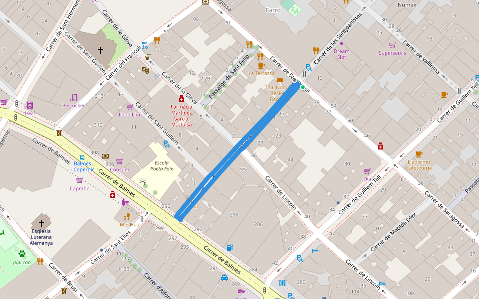 Carrer de les Santjoanistes