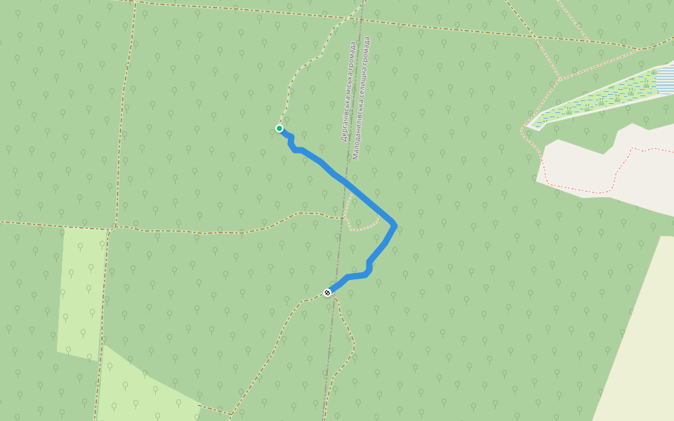 Заросшая/заваленная дорога (24.01.2021) walking route map in Karavan