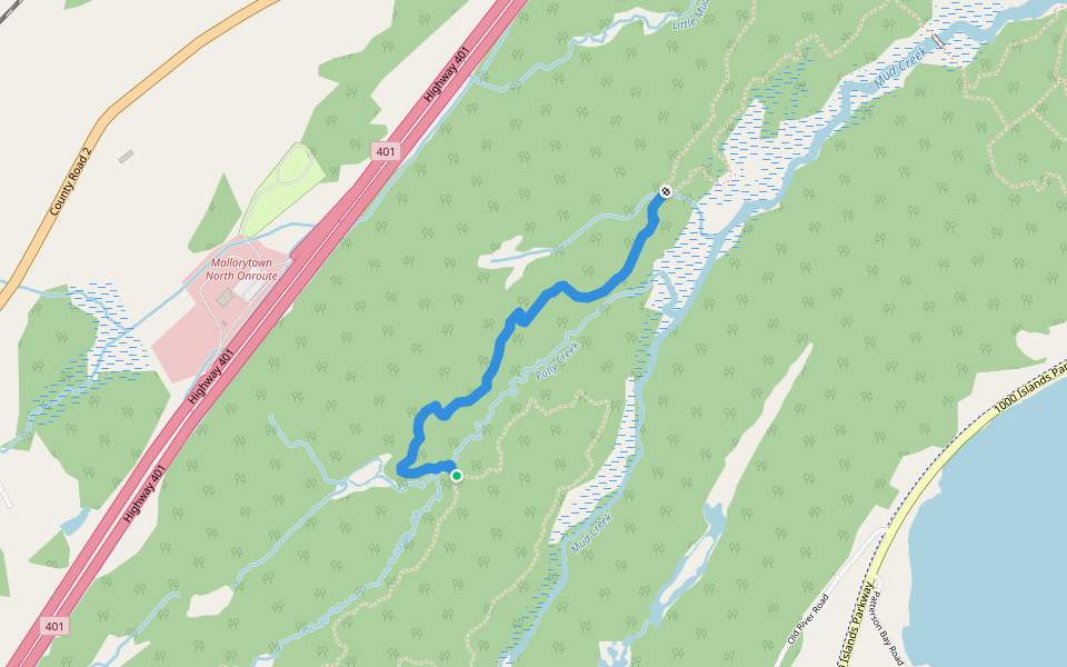 Deer Trail walking route map in Front of Yonge