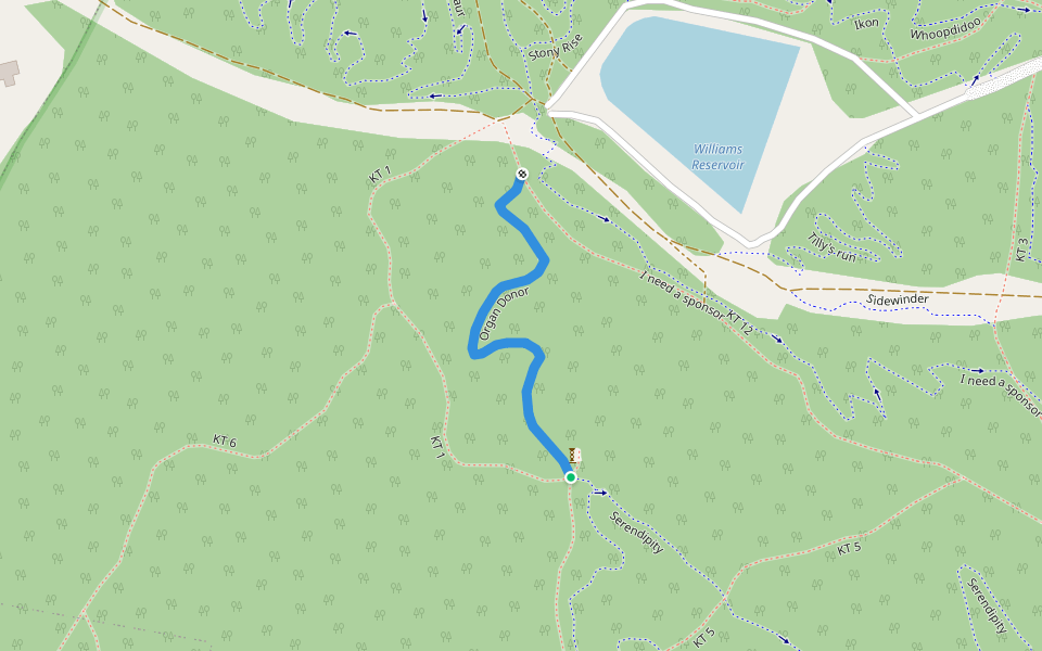 Organ Donor walking route map in Stony Rise