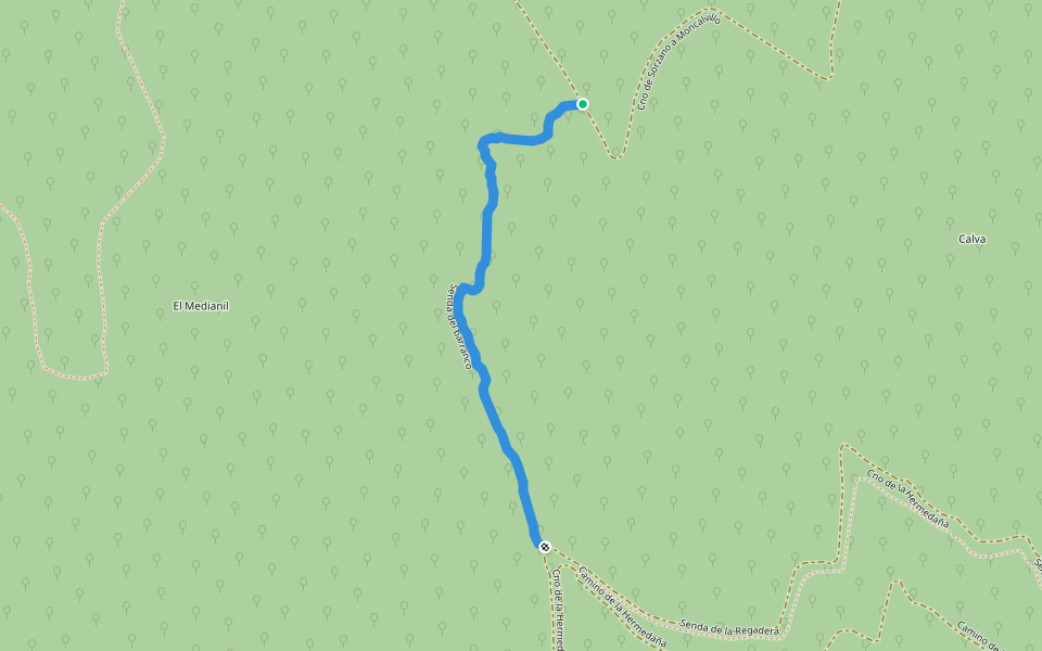 Senda del barranco walking route map in Sojuela