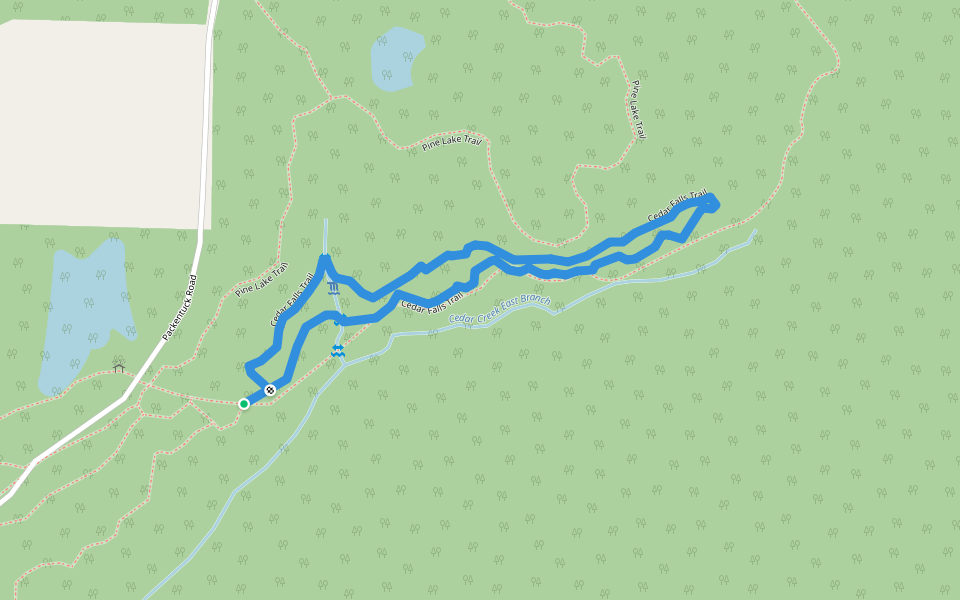 Cedar Falls Trail walking route map in Ozark