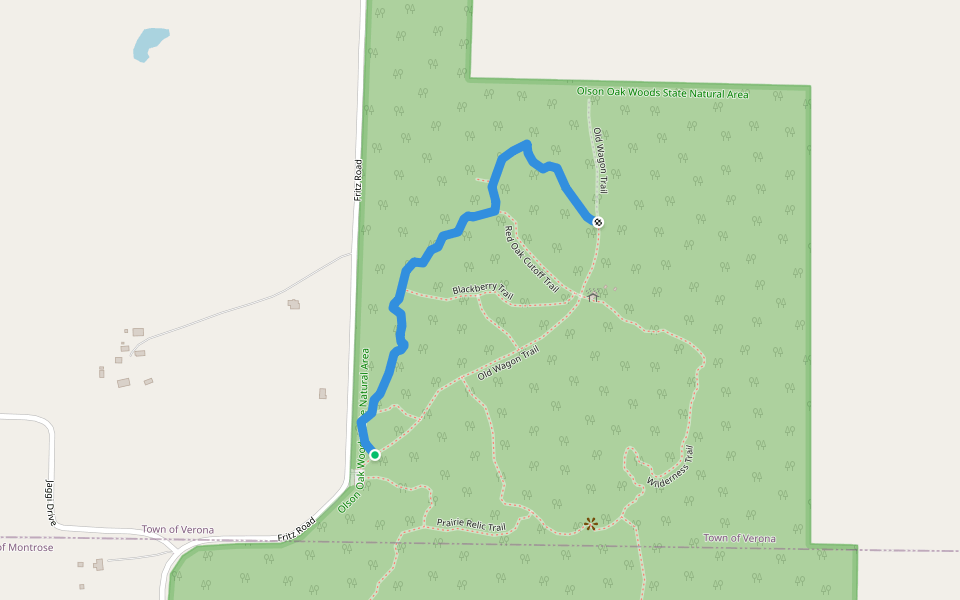 Forestry Trail walking route map in Verona