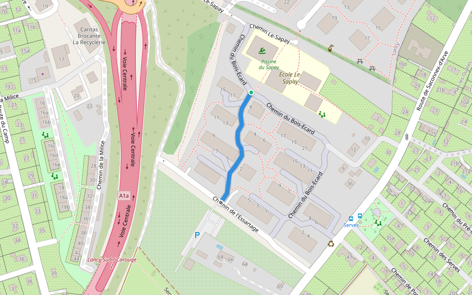 Chemin du Pré-de-la-Raisse walking route map in Plan-les-Ouates