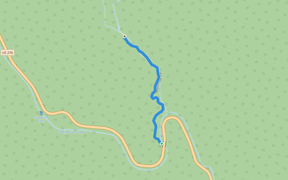 Moore Cove Trail walking route map in Brevard