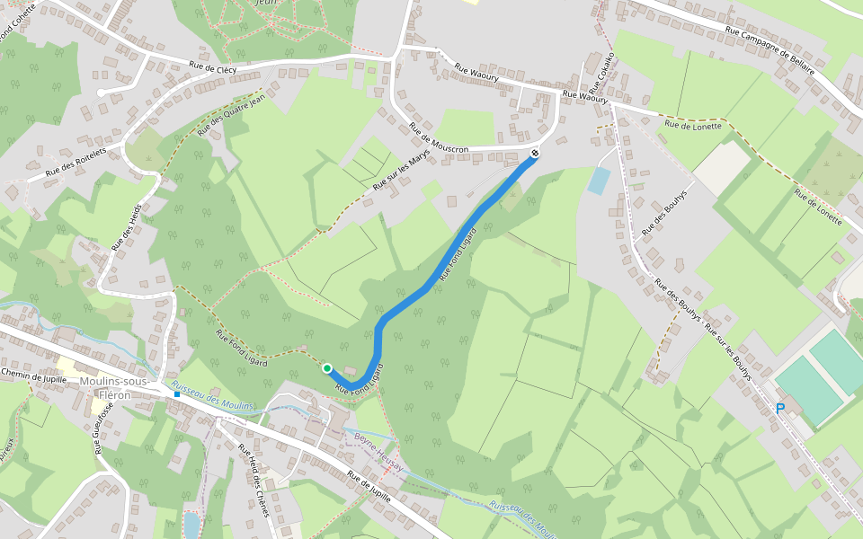 Rue Fond Ligard walking route map in Fléron