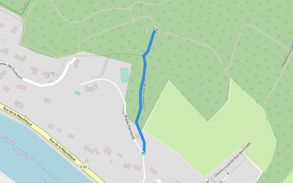 Chemin rural dit ?? walking route map in Boissise-la-Bertrand