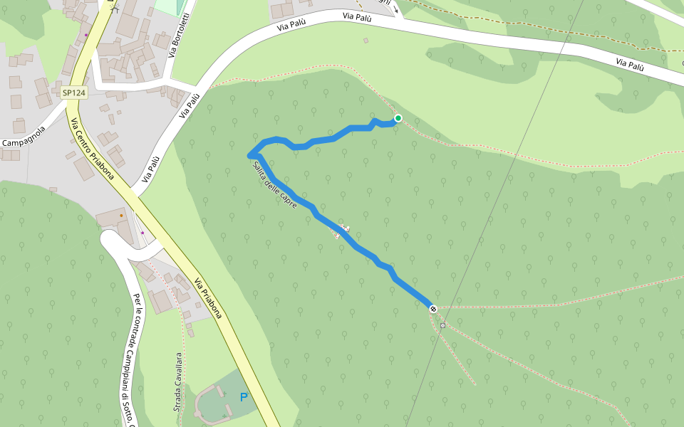 Salita delle capre walking route map in Priabona
