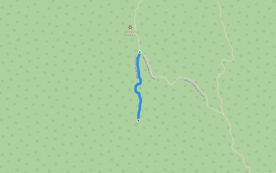 Church Spire Track walking route map in South Mount Cameron