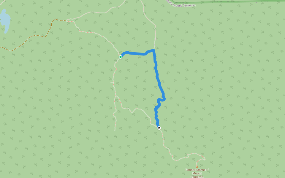Mount Cameron Link-Track walking route map in South Mount Cameron