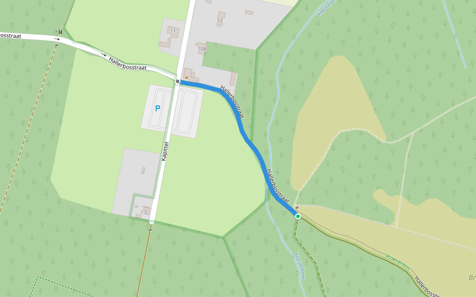 Hallerbosstraat walking route map in Halle