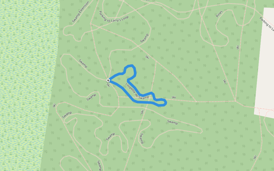 Loopette de Swamp walking route map in Newport