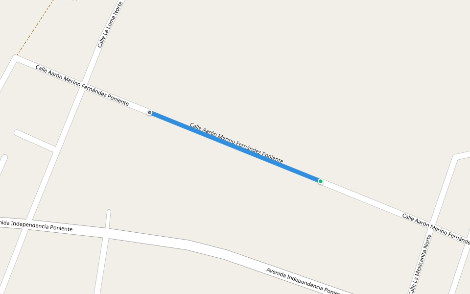 Calle Aarón Merino Fernández Poniente walking route map in Tzicatlacoyan