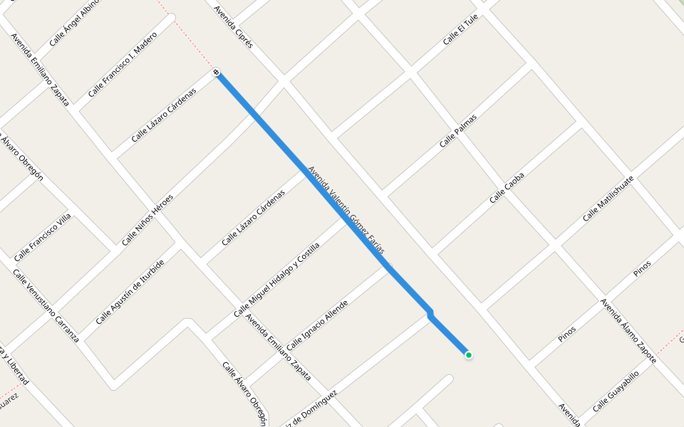 Avenida Valentín Gómez Farías walking route map in Chiapa de Corzo