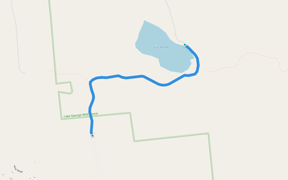 Lily Pond trail walking route map in Brant Lake