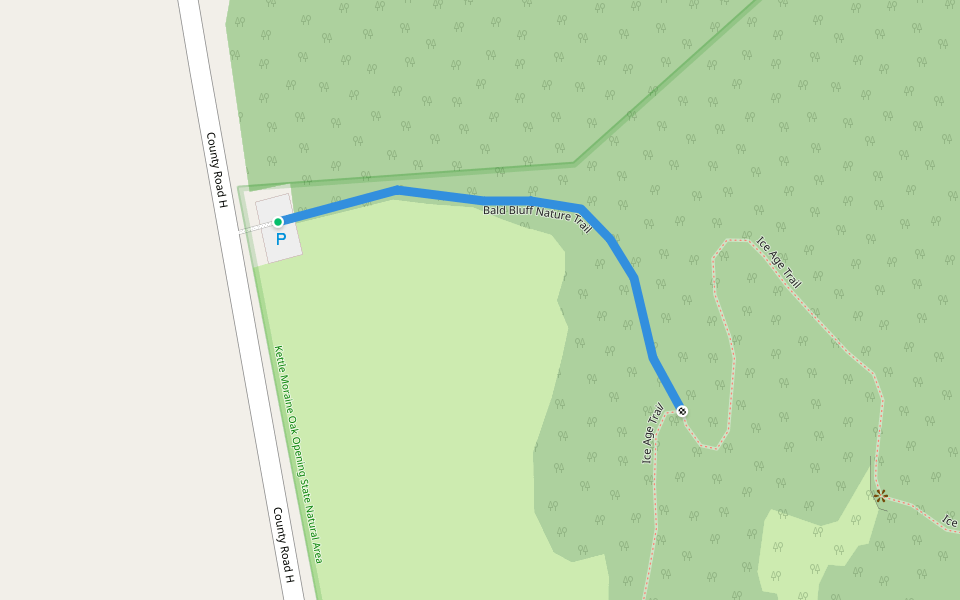 Bald Bluff Nature Trail walking route map in Palmyra