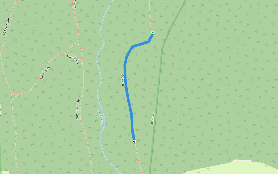 Oak Hill walking route map in Endicott