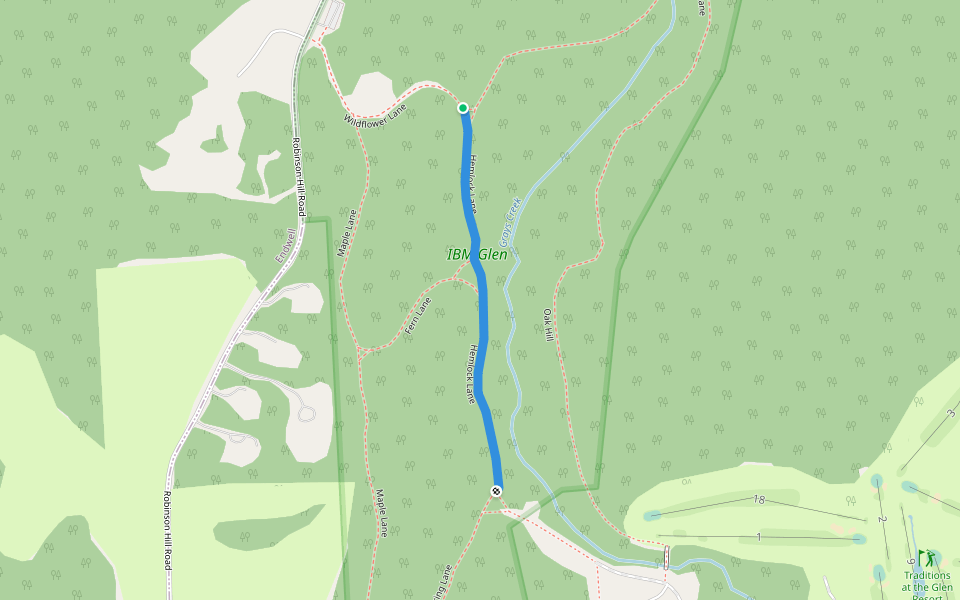 Hemlock Lane walking route map in Endicott