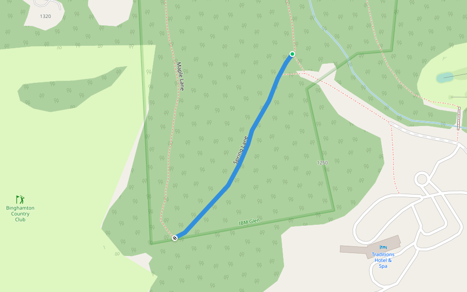 Spring Lane walking route map in Endicott