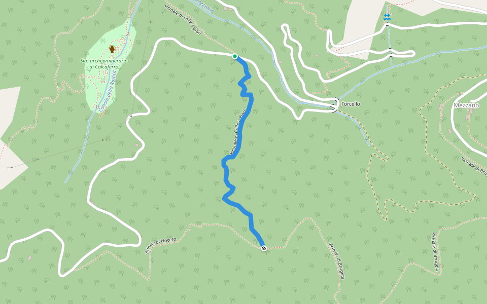 vicinale di Colle a Piari walking route map in Stazzema