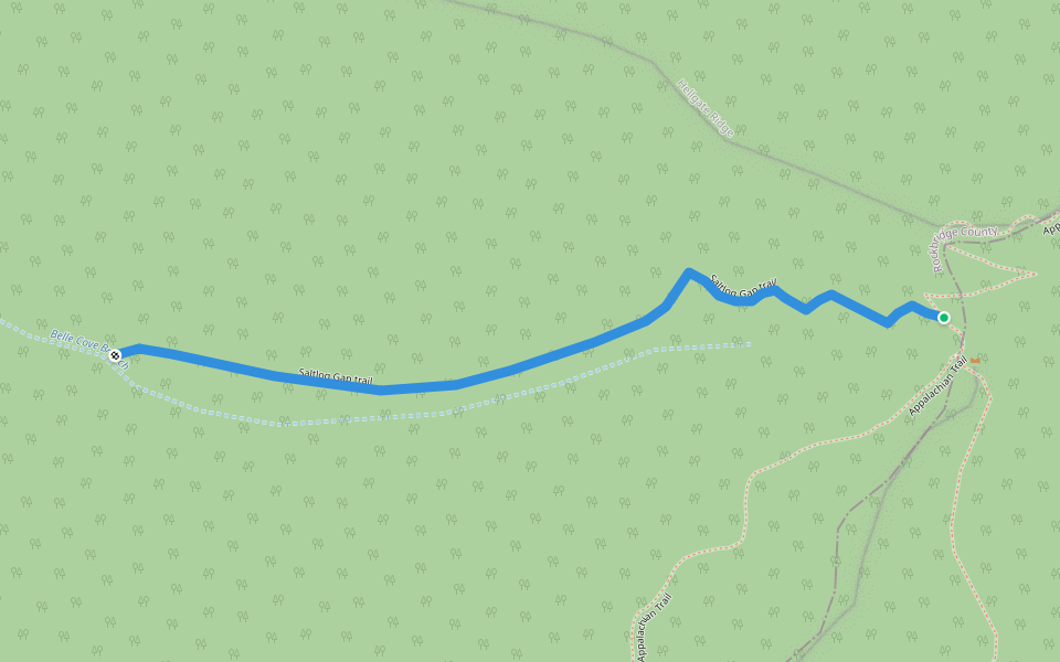 Saltlog Gap trail walking route map in Buena Vista