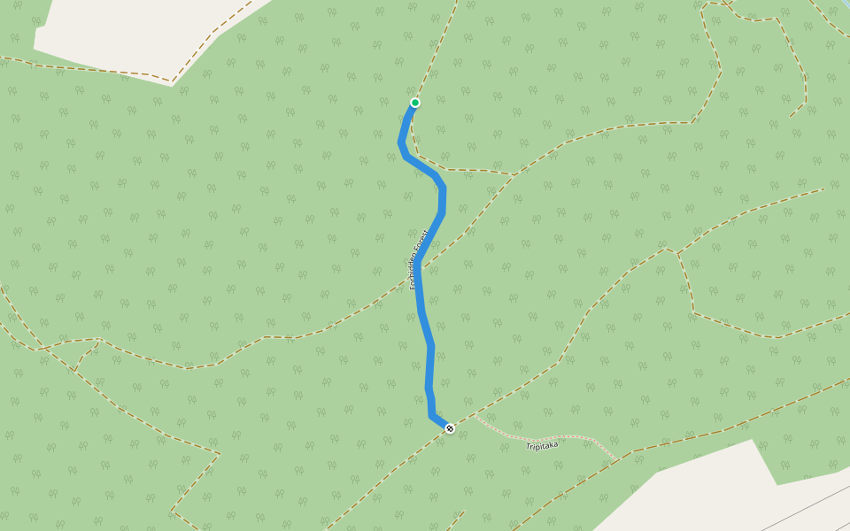 Forbidden Forest walking route map in Evanton