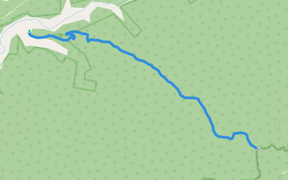 Eight Mile Trail walking route map in Wrights Creek