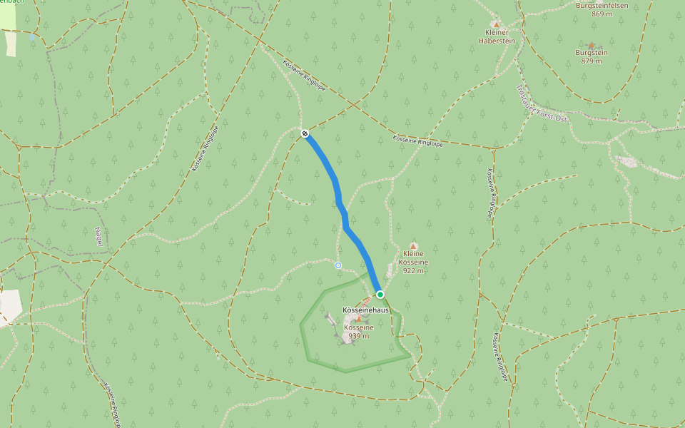 Schuss walking route map in Tröstauer Forst-Ost