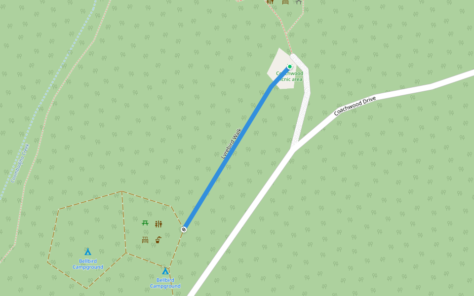 Lyrebird Walk walking route map in Gibraltar Range