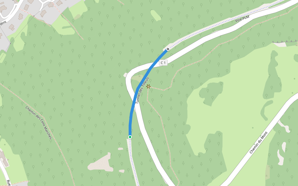 Tunnel des Tilleuls walking route map in Conliège