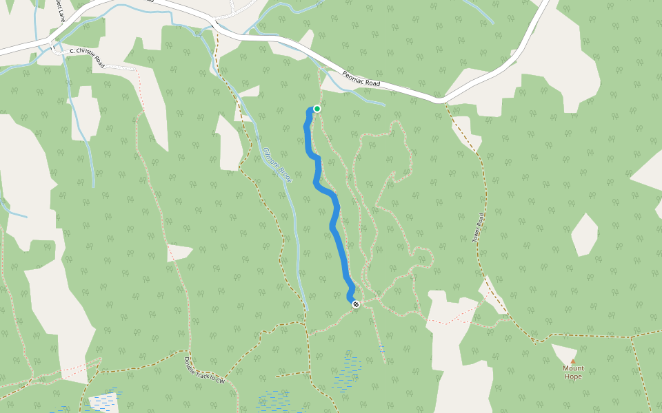 Ricky's Run walking route map in Mount Hope