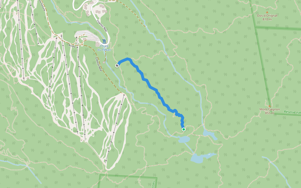 Montée du Lac Spruce