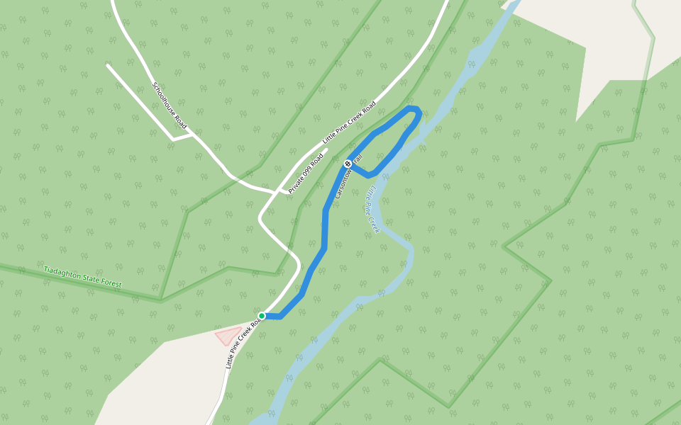 Carsontown Trail walking route map in Waterville