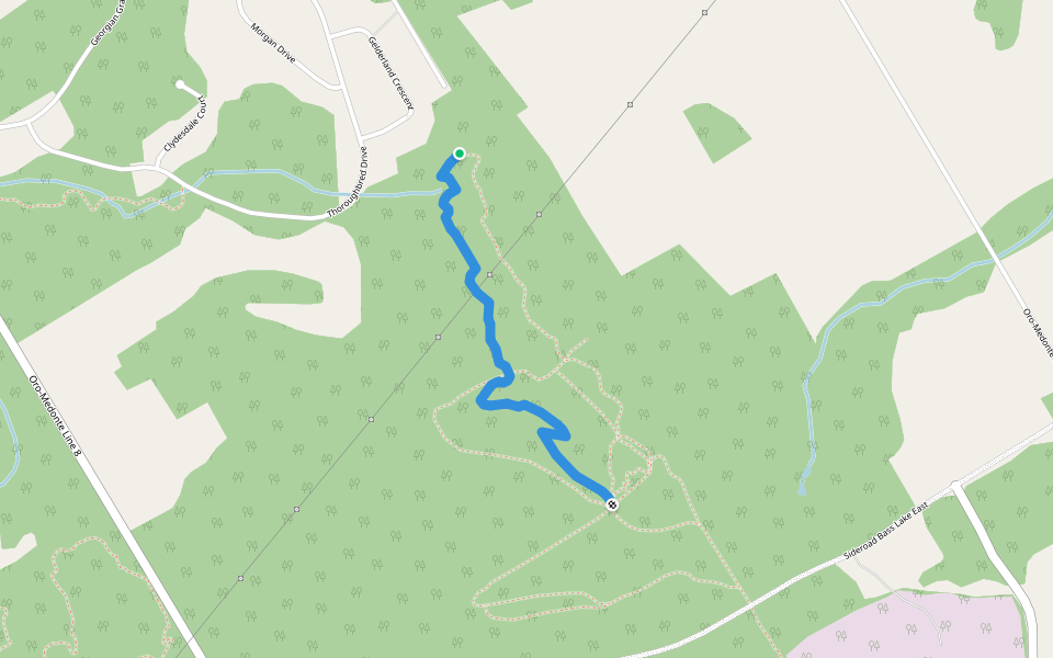 Schumacher Black walking route map in Coldwater