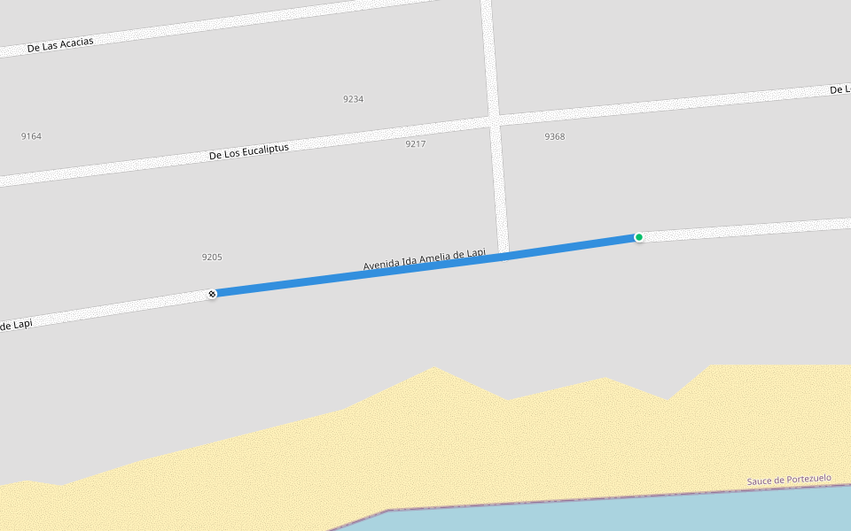 Avenida Ida Amelia de Lapi walking route map in Sauce de Portezuelo