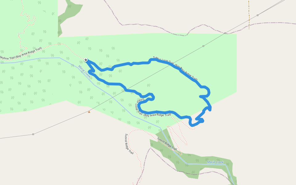 Tuteur Loop Trail  (Bay Area Ridge Trail)