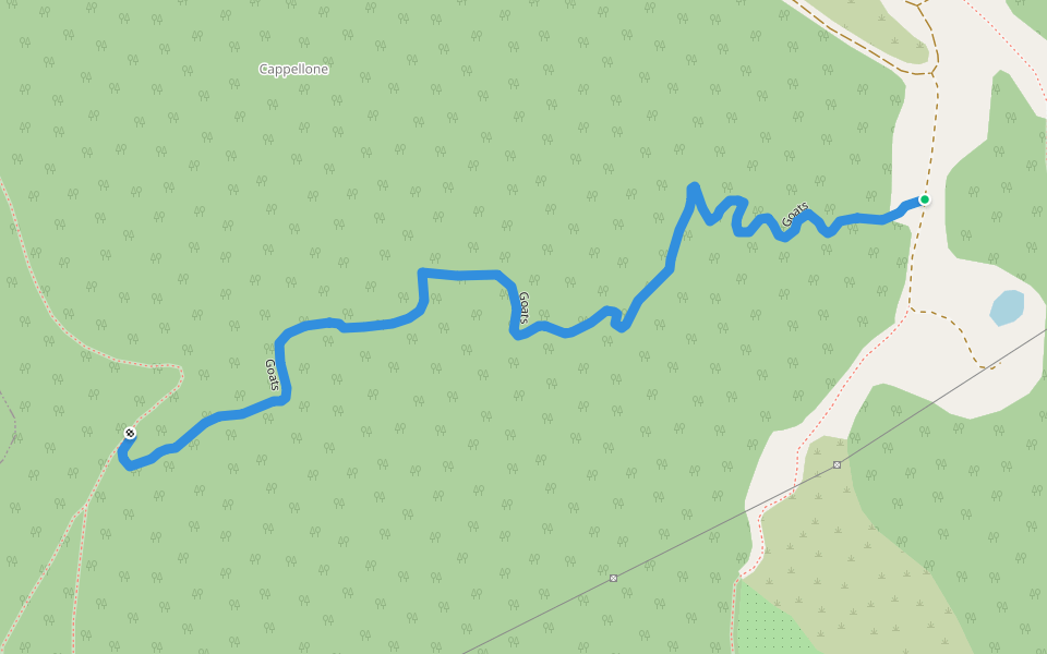 Goats walking route map in Varazze